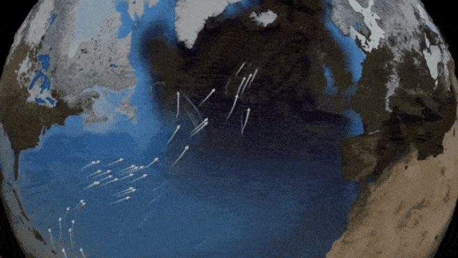 Esta animación muestra la Corriente del Golfo enviando agua cálida al Océano Atlántico Norte, lo que obliga al agua más fría a hundirse y desplazarse hacia el sur. Crédito: NASA/Goddard Space Flight Center Scientific Visualization Studio