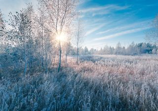 Intenso frío nocturno sobre México en próximos días. ¿Por qué son gélidas las madrugadas y calurosas las tardes?