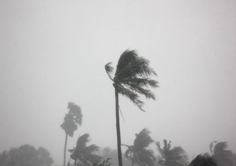 Viento Viento