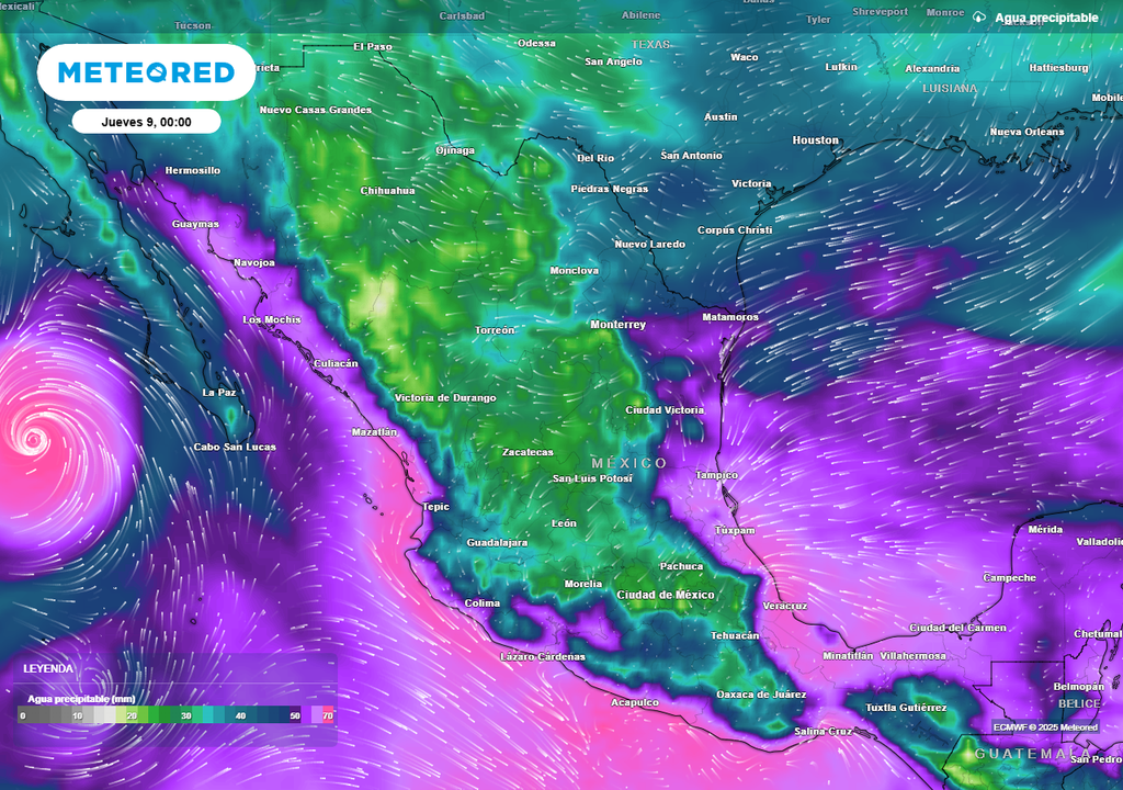 Pronóstico de agua precipitable en milímetros