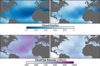 Interacción nube-aerosol