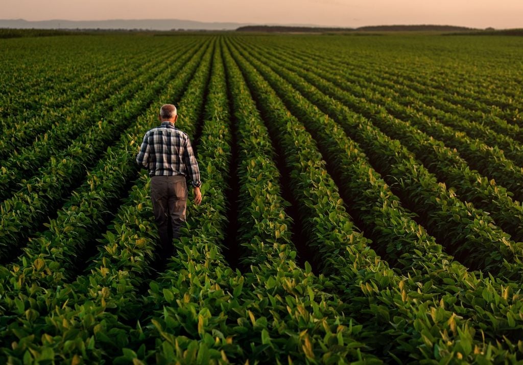 Crescimento agroalimentar