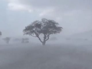 Torrenciales lluvias e inundaciones se registran en Arabia Saudí, generando caos