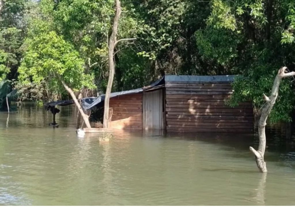 Inundaciones y evacuados en el Litoral por las crecidas de los ríos Iguazú, Paraná y Uruguay