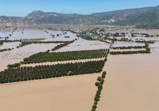Inundaciones y lluvias intensas golpean al campo en Veracruz, Hidalgo y Puebla: cultivos en riesgo y pérdidas pecuarias