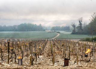 Invasion d'air polaire en France : à quand le retour à la normale ?