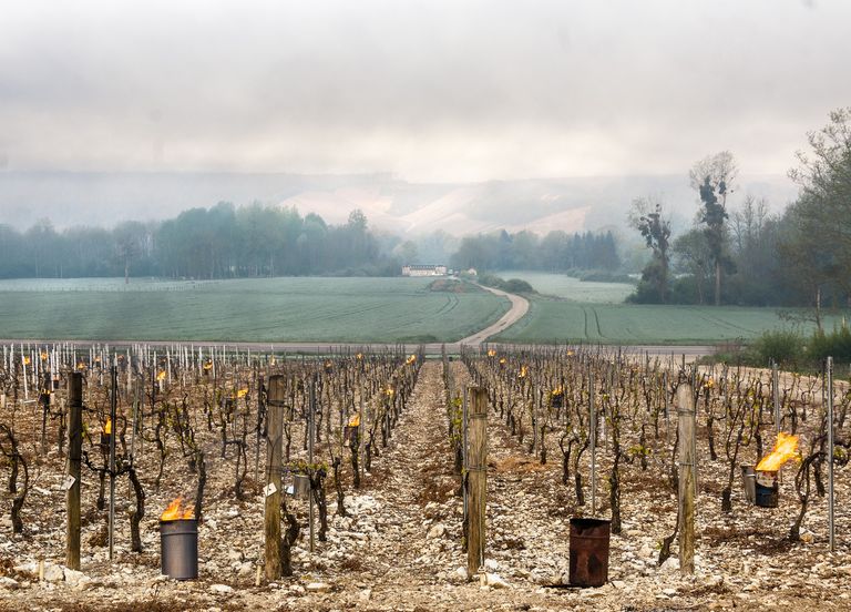 Froid, gelées Froid, gelées