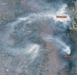 Invasión del fuego sobre zonas con las secuoyas gigantes en California