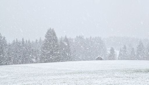Inverno 2026-2027, quando arriver&agrave; la prima neve in Italia? La previsione che sorprende gli esperti