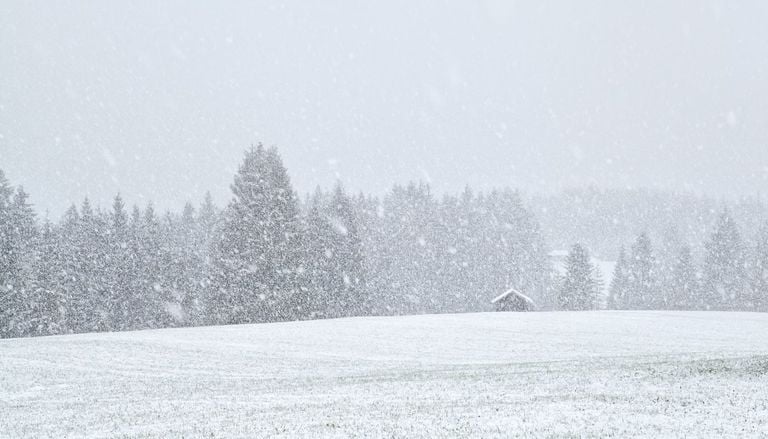Inverno 2026-2027, quando arriver&agrave; la prima neve in Italia? La previsione che sorprende gli esperti