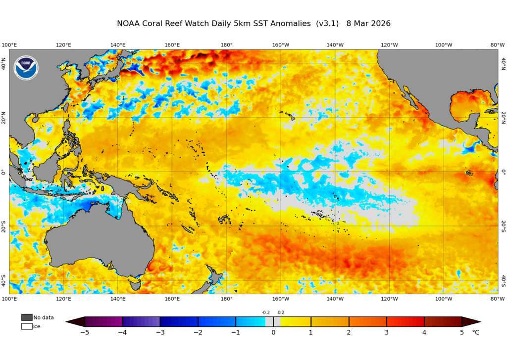 A temperatura da superfície do mar no dia 8 de março de 2026 mostra o avanço de anomalias positivas da costa do Peru em direção ao Pacífico central. Créditos: NOAA Coral Reef Watch.