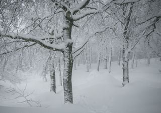 Inverno ancora incerto: come potrebbe influire sulla prossima estate in Italia e sulla disponibilit&agrave; idrica