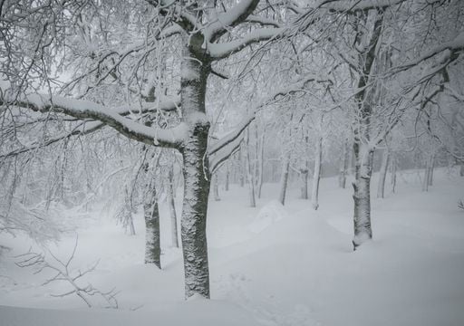 Inverno ancora incerto: come potrebbe influire sulla prossima estate in Italia e sulla disponibilit&agrave; idrica
