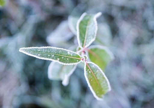 Inverno antecipado: Massas de ar frio persistem nas pr&oacute;ximas semanas; veja os estados afetados