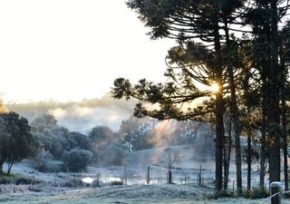 Inverno de 2024 no Brasil: a estação pode ser mais quente que o normal! A especialista em clima Paola Bueno nos explica