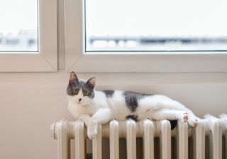 Inverno, sorprese dalle mappe stagionali: effetti sui consumi energetici?