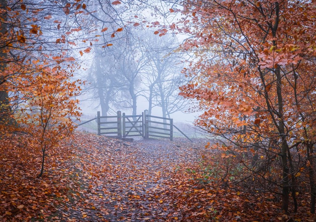 Inversions-Wetterlage, Nebelwolken,Schadstoffen