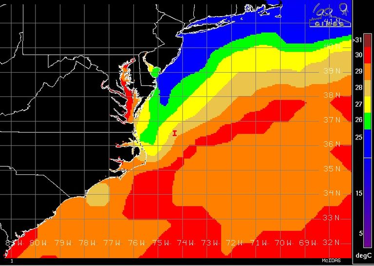 Invest 96L nuevo sistema (sub) tropical atlántico. ¿Kyle a la vista?