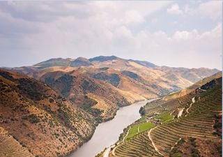 Investigação internacional estuda o Grande Vale do Côa para proteger o Mediterrâneo dos fogos florestais