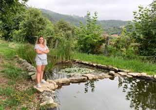 Investigadora do Minho usa zonas húmidas artificiais para despoluir e reutilizar a água