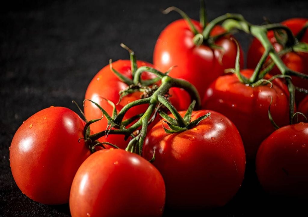 Tomates