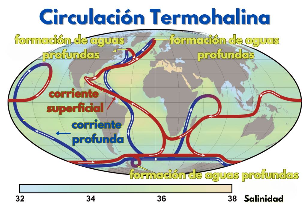 oceano; equilibrio; distribucion; clima; corrientes; corrientes marinas