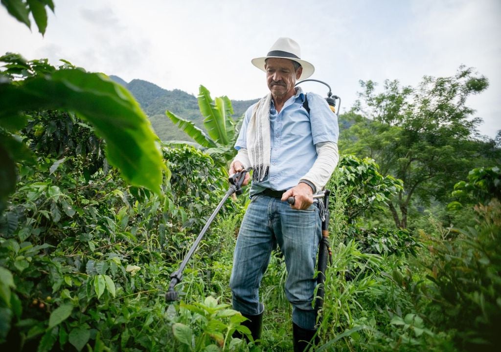 Agricultor Tradicionalmente, el control de estos problemas se ha basado en el uso de productos químicos