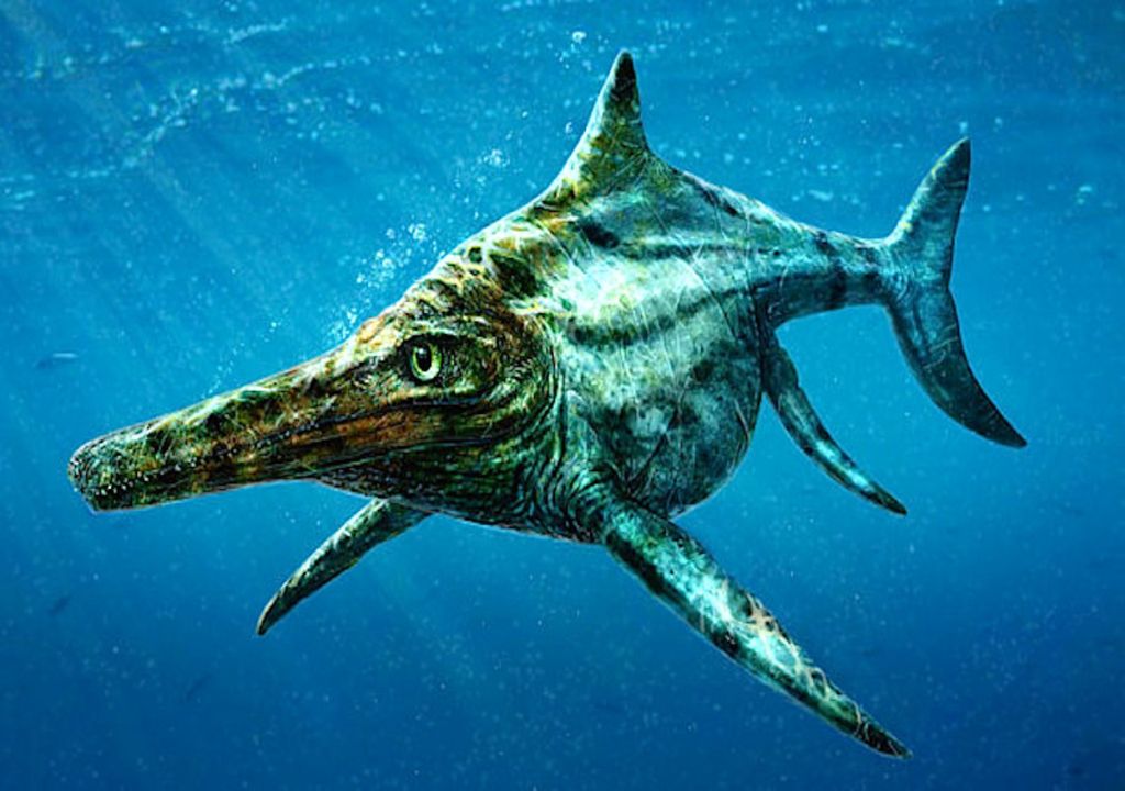 Ichthyosaurus