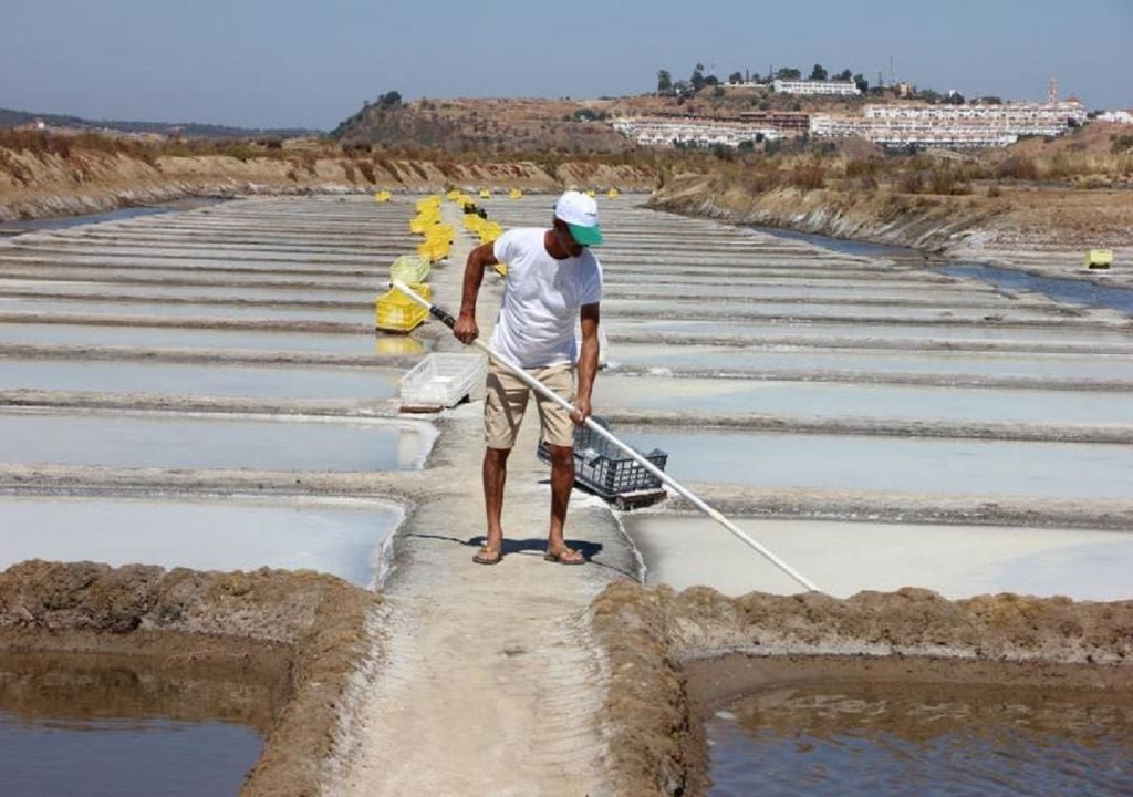 Salinas de Castro Marim