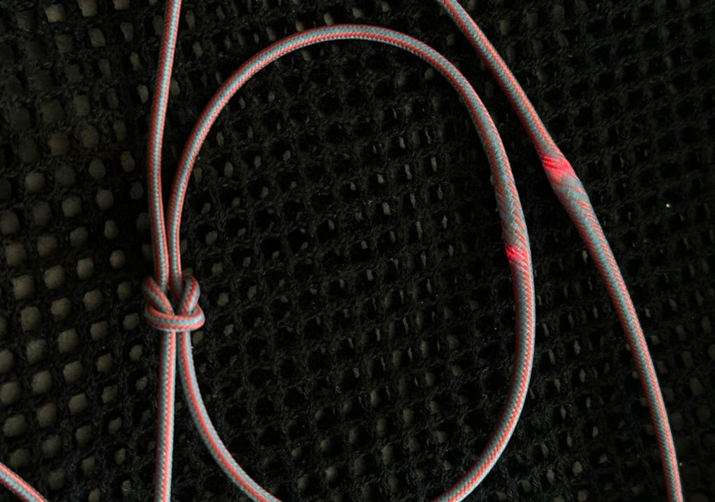fibra elástica fibra elástica