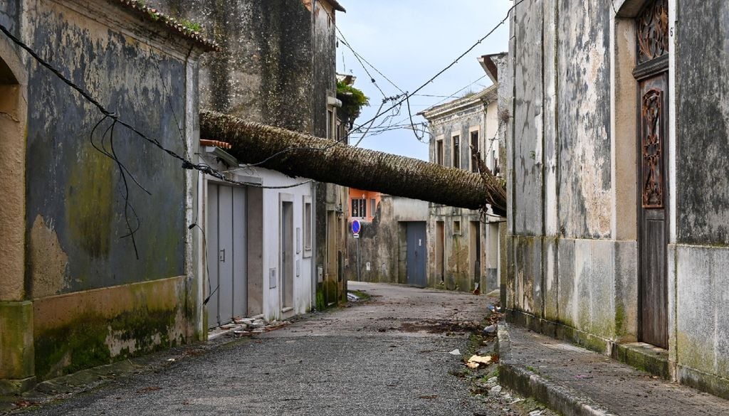 A tempestade Kristin provocou um rasto de destruição por todo o país, sobretudo nos distritos da Região Centro. Foto: Município de Montemor-o-Velho