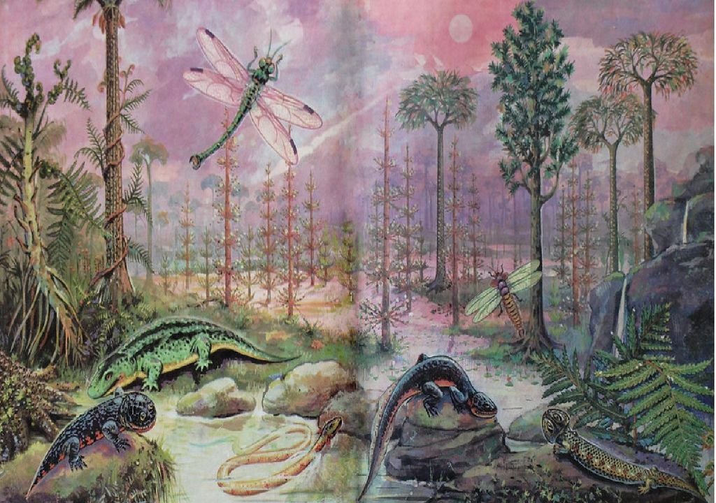 Flora e fauna da Era Paleozoica Flora e fauna da Era Paleozoica