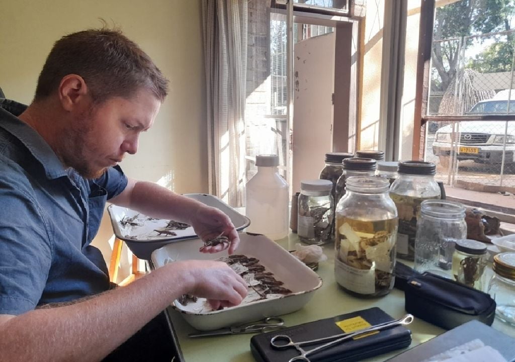 Luís Ceríaco, investigador da Universidade do Porto