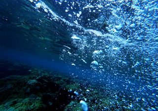 Investigadores suecos descubrieron rara fuga de metano en el Mar Báltico 