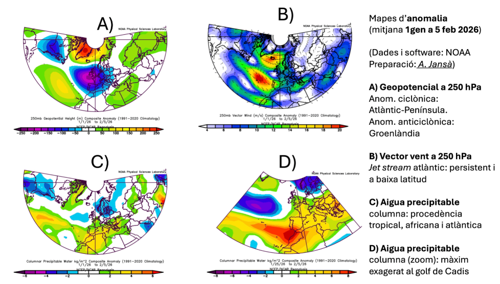 Mapas de algunas anomalías observadas desde el 1 de enero al 5 de febrero de 2026: A, geopotencial en 250 hPa, B, viento en 250 hPa, C, agua precipitable y D, agua precipitable en zoom. Fuente: AGUSTI JANSA CLAR @AJANSACLAR