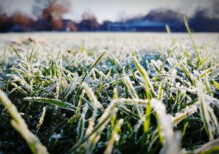 Invierno congelado: ¿Por qué y cómo se forma la temida escarcha?