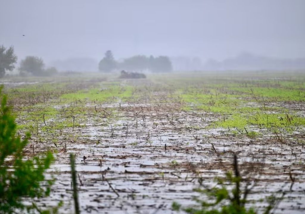Lluvias Argentina campo agro El Niño La Niña clima tiempo pronóstico invierno heladas