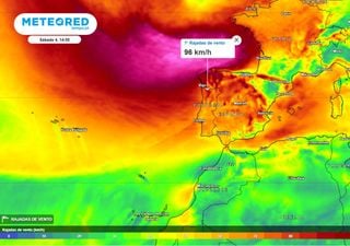 IPMA coloca Portugal repleto de avisos: no sábado, Domingos trará fenómenos de risco moderado a extremo a estas regiões