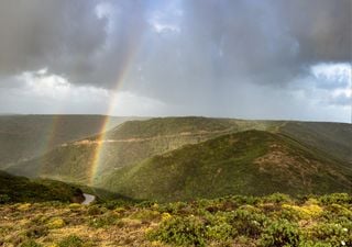 IPMA revela que abril foi um mês quente e chuvoso: meteorologista Teresa Abrantes analisa os principais destaques