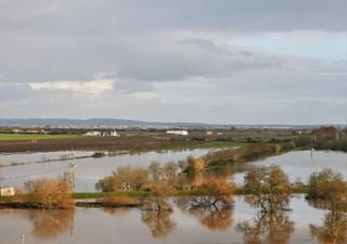 IPMA revela que fevereiro foi um m&ecirc;s extremamente chuvoso: meteorologista Teresa Abrantes analisa principais destaques