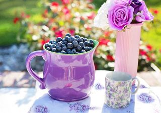 Can you drink blueberry wine for healthy antioxidants? The answer may surprise you