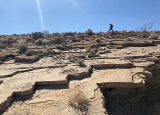 Is the World’s Hottest Temperature Wrong? Researchers Question Death Valley’s 134° Degree Record Reading