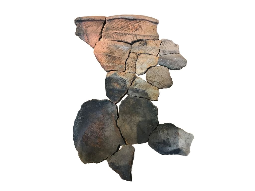 Varios fragmentos de una vasija neolítica rota, dispuestos uno junto al otro sobre un fondo blanco.Fragmentos de una vasija neolítica hallados cerca del crannog.