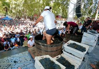 Isla de Maipo celebra su vendimia 2026 con una fiesta gratuita: revisa las fechas, actividades y artistas invitados