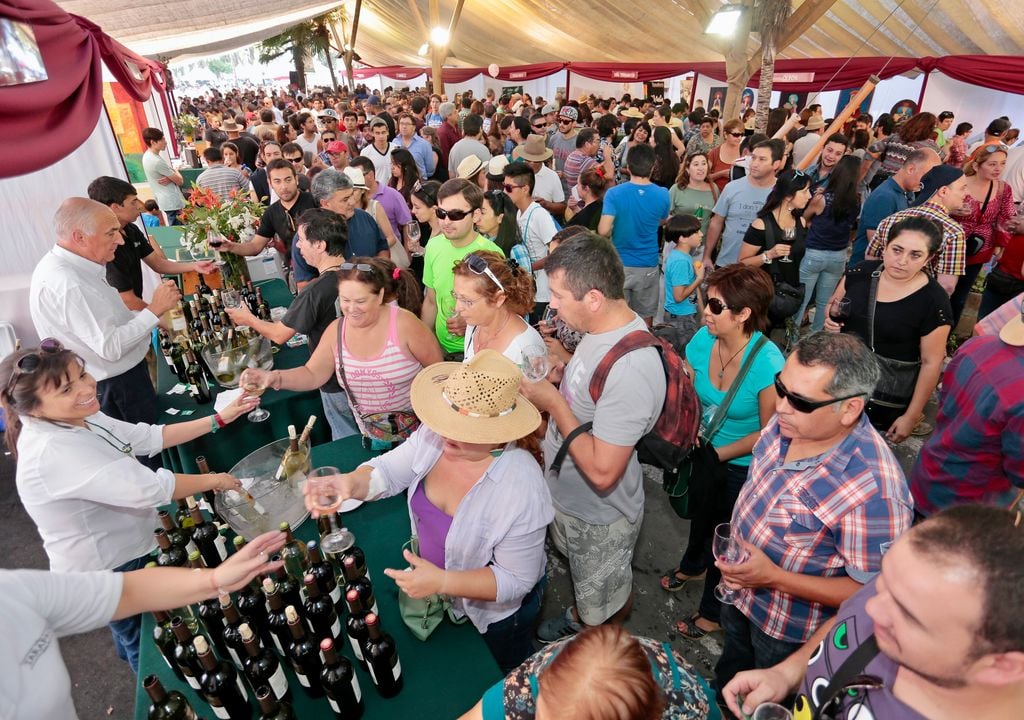 Más de una docena de viñas participarán de la Fiesta de la Vendimia de Isla de Maipo. Crédito: Municipalidad de Isla de Maipo.