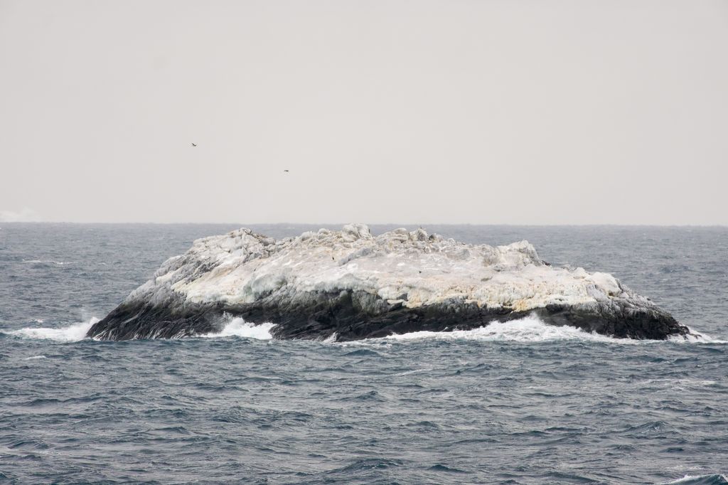Isla en el mar de Weddell aún no registrada en las cartas náuticas (Foto: Instituto Alfred Wegener / Simon Dreutter)