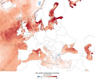 Las Islas Británicas sufren una histórica ola de calor marina nunca antes registrada en datos modernos