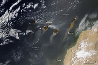 Un día dinámico sobre las Islas Canarias: incendio, polvo, reflexión especular, vórtices,..