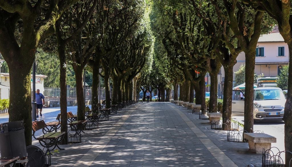 alberi parco città Gli alberi in città sono fondamentali per abbassare le temperature legate al surriscaldamento delle superfici.
