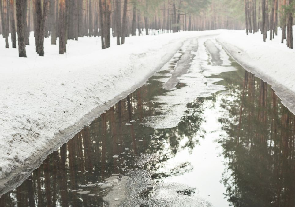 Ist Der Winter Schon Vorbei